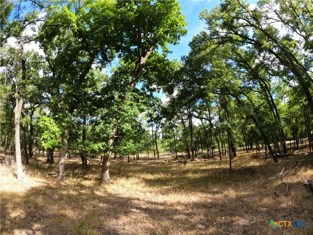 15010 Rosanky Road Holland, TX 76534