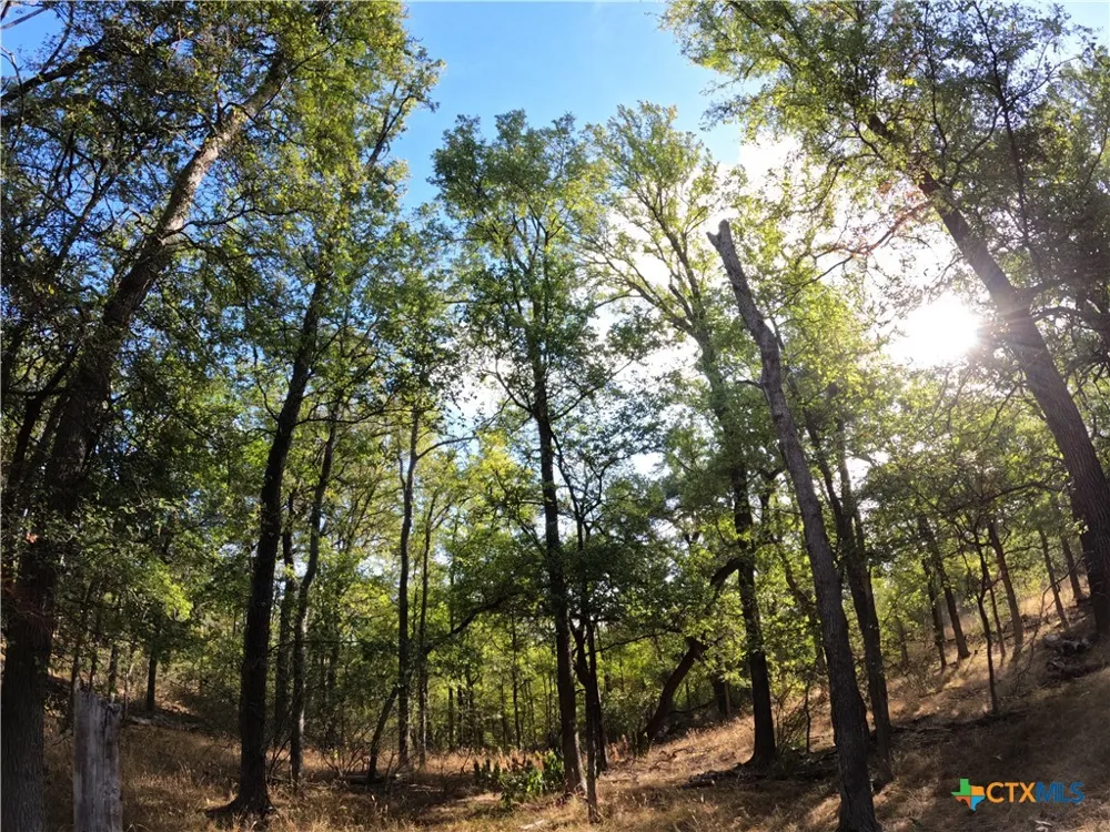 15010 Rosanky Road Holland, TX 76534