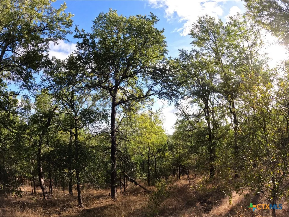 15010 Rosanky Road Holland, TX 76534