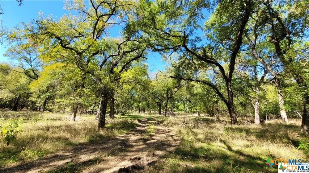 15010 Rosanky Road Holland, TX 76534