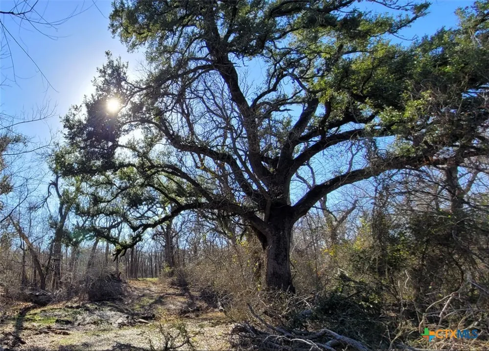 15010 Rosanky Road Holland, TX 76534