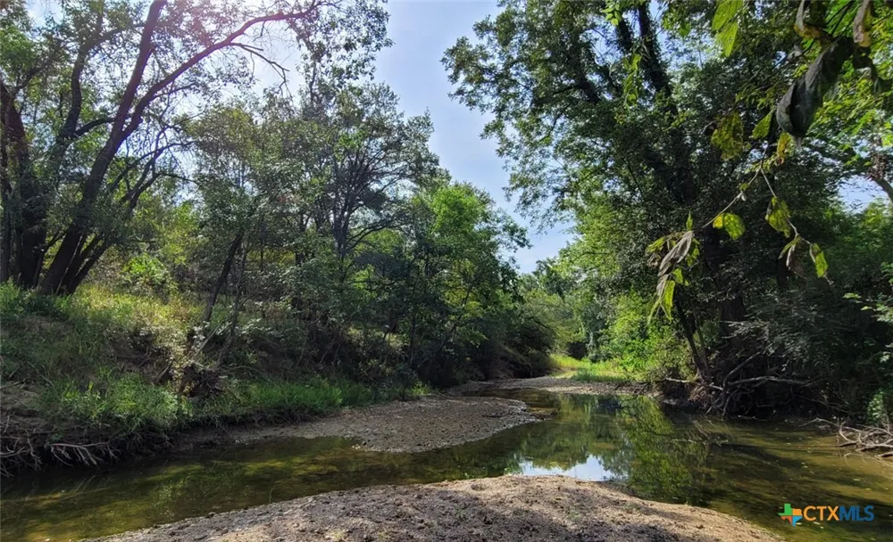 15010 Rosanky Road Holland, TX 76534