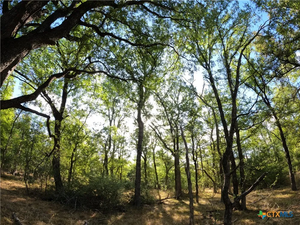 15010 Rosanky Road Holland, TX 76534