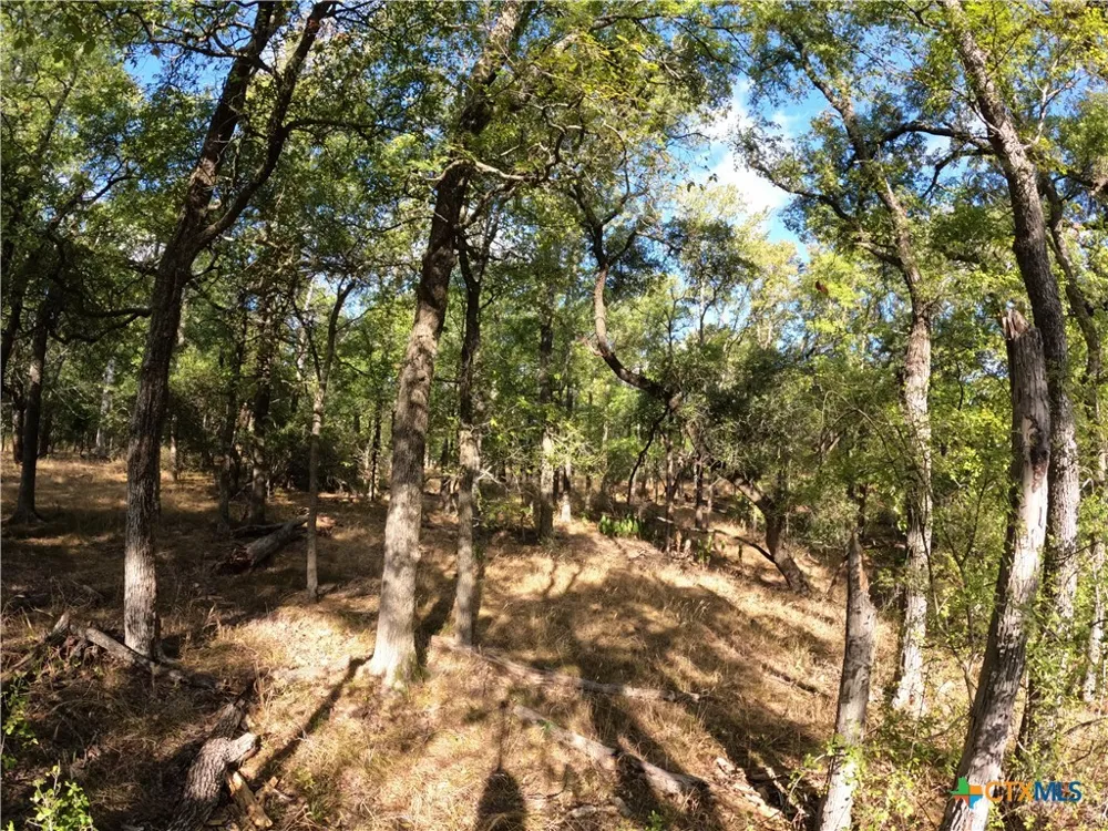 15010 Rosanky Road Holland, TX 76534