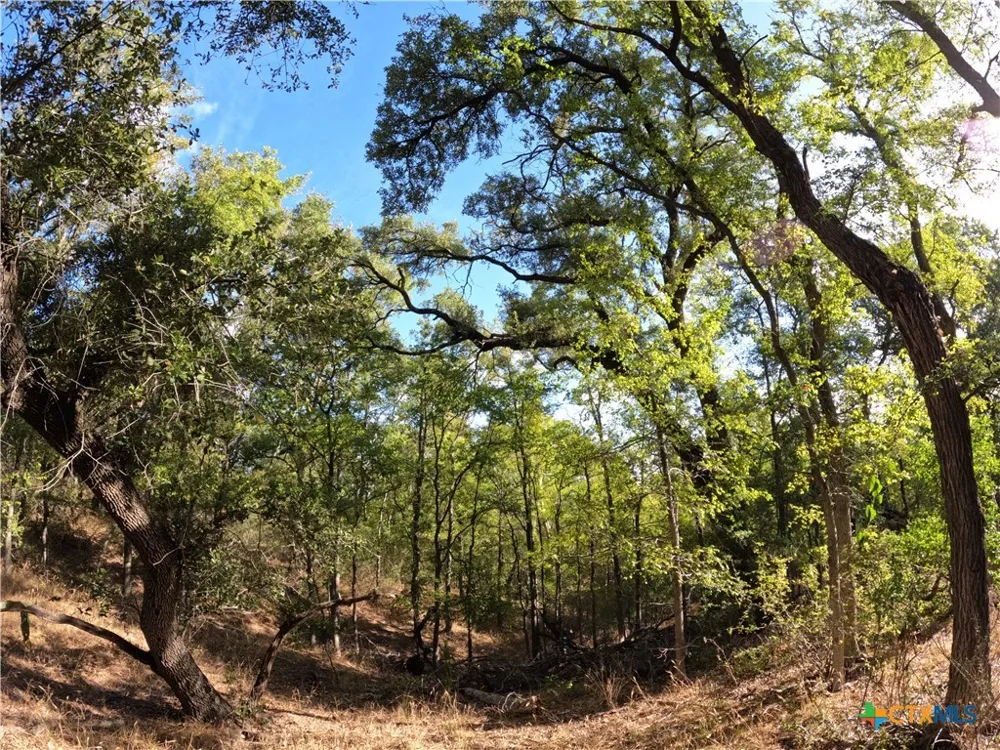 15010 Rosanky Road Holland, TX 76534