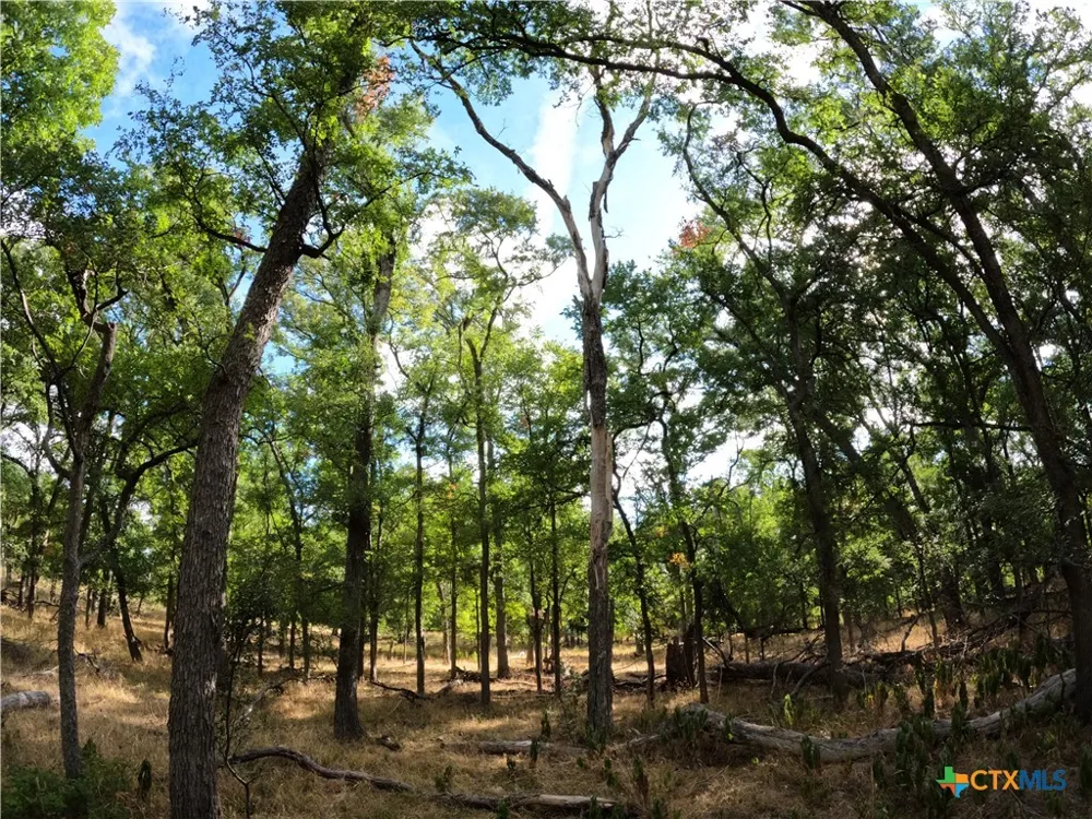 15010 Rosanky Road Holland, TX 76534