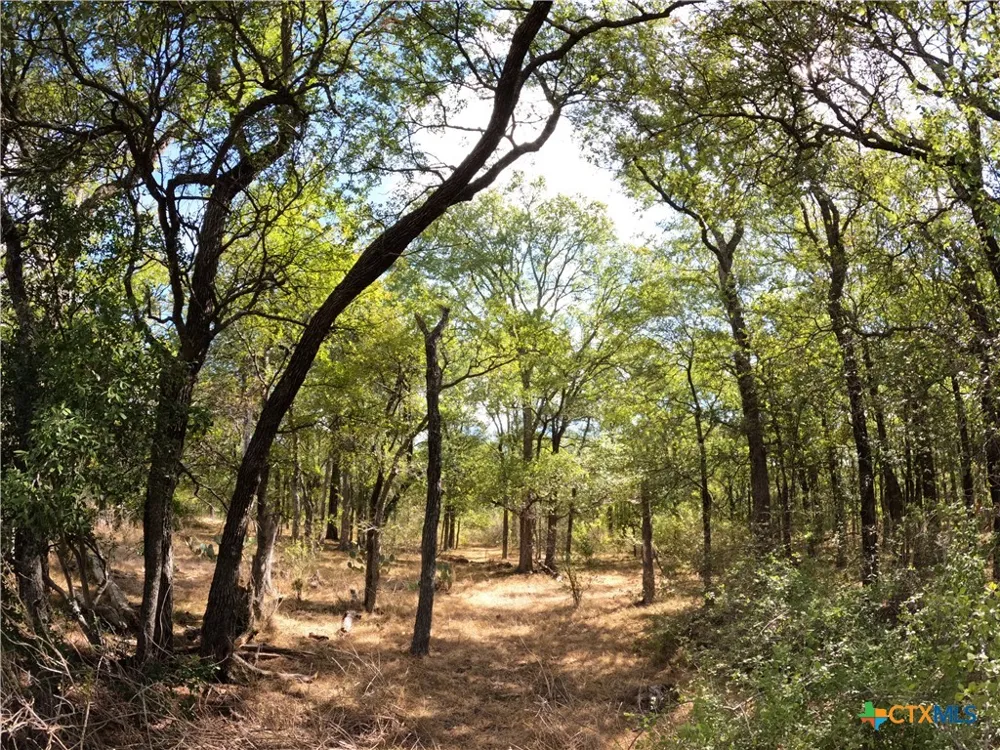 15010 Rosanky Road Holland, TX 76534