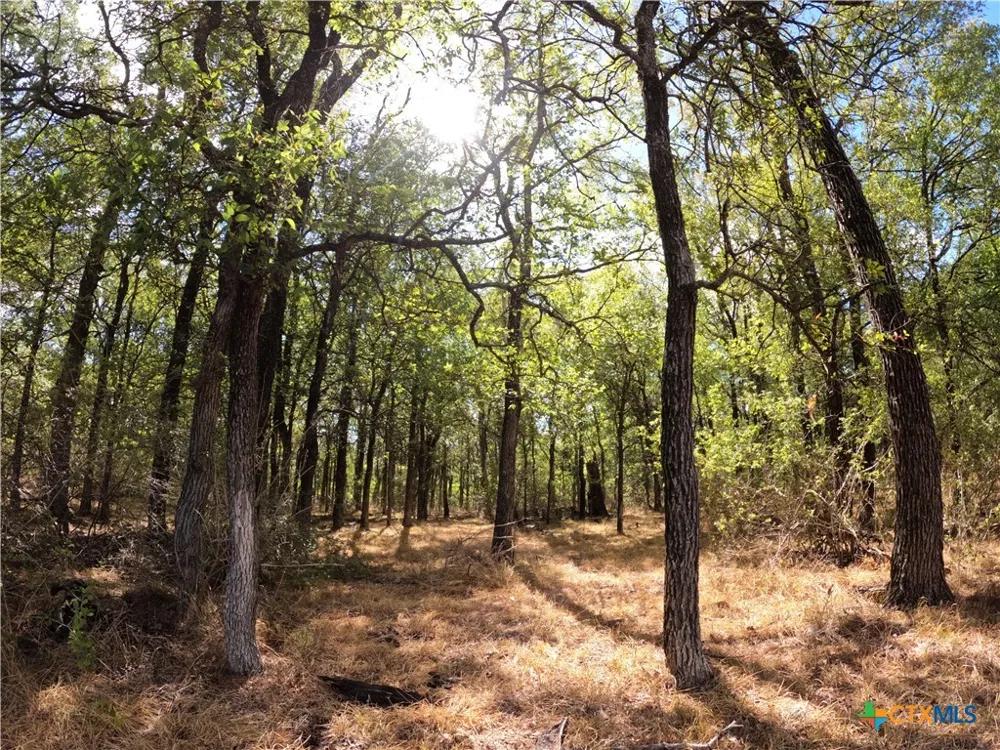 15010 Rosanky Road Holland, TX 76534