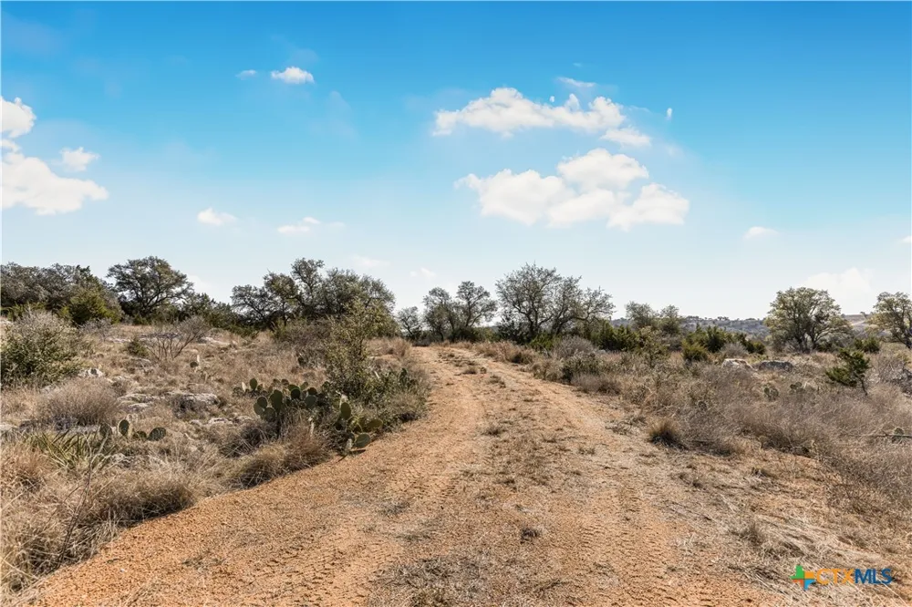 48 Inksview Lane Kingsland, TX 78639