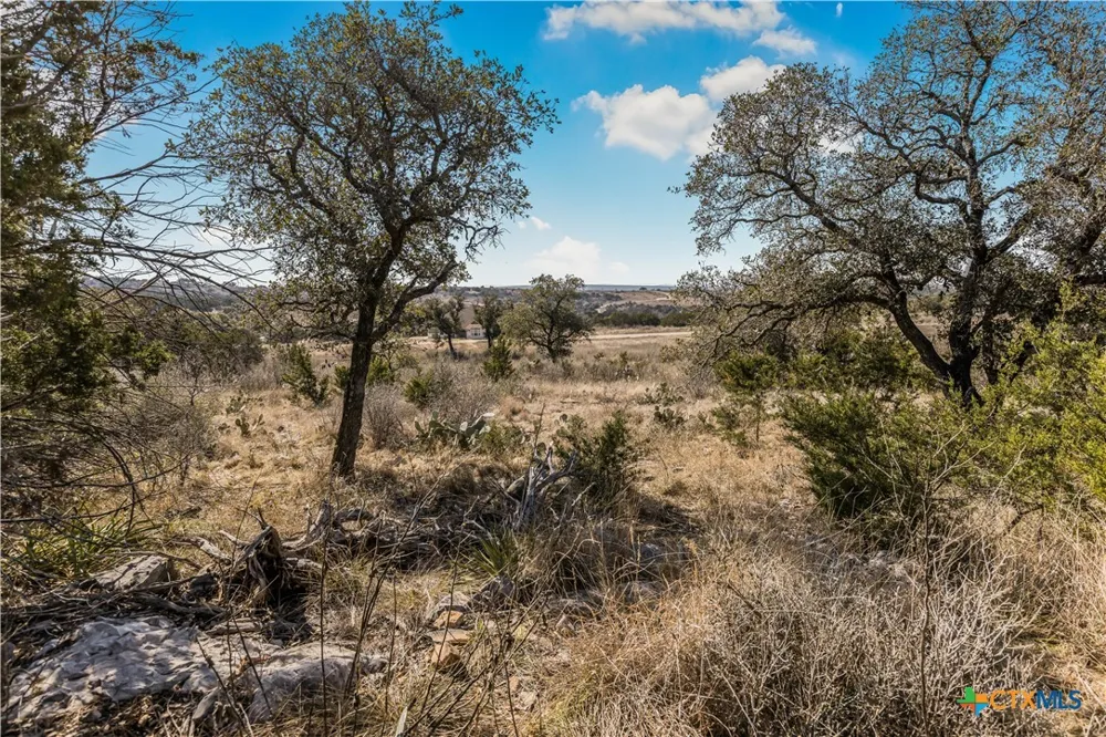 48 Inksview Lane Kingsland, TX 78639