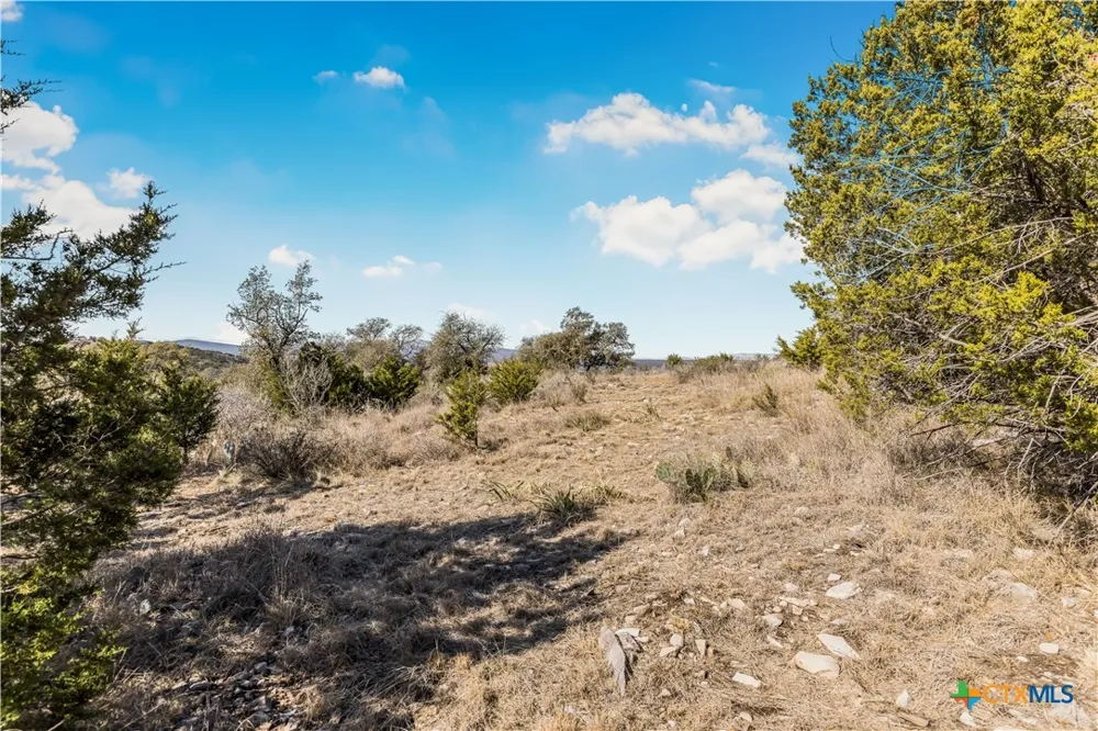 48 Inksview Lane Kingsland, TX 78639