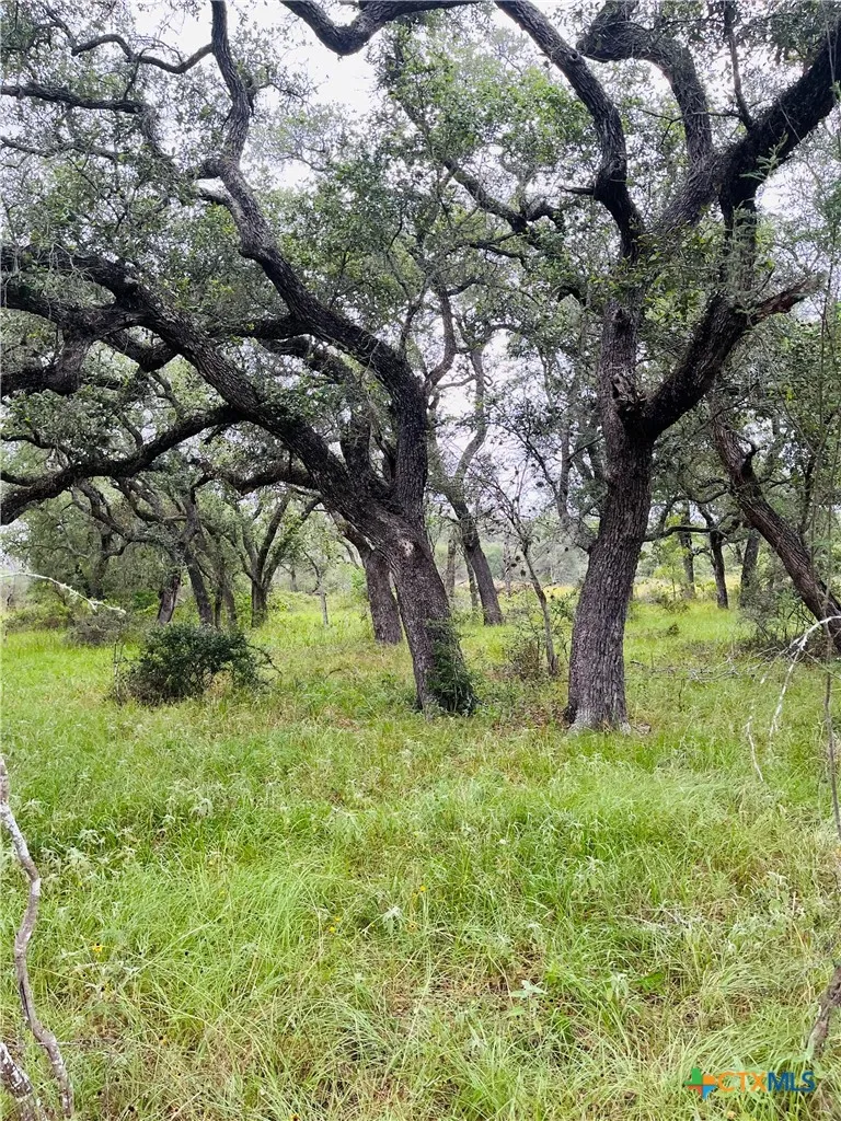 Rocky Rd Cuero, TX 77954