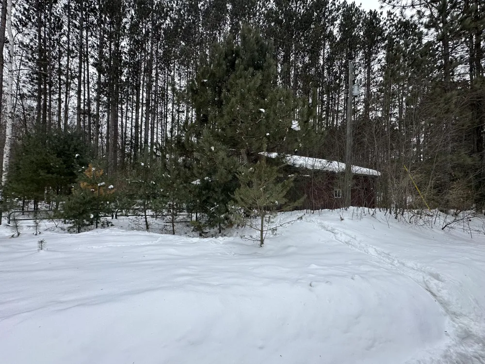 Lakola Road Leroy, MI 49655