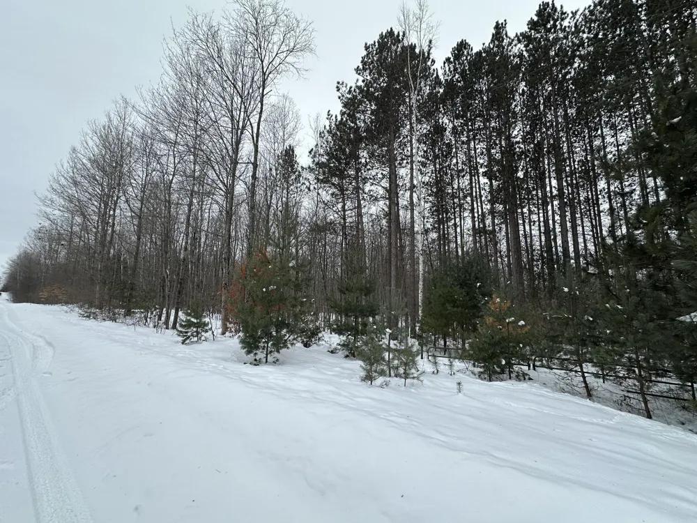 Lakola Road Leroy, MI 49655