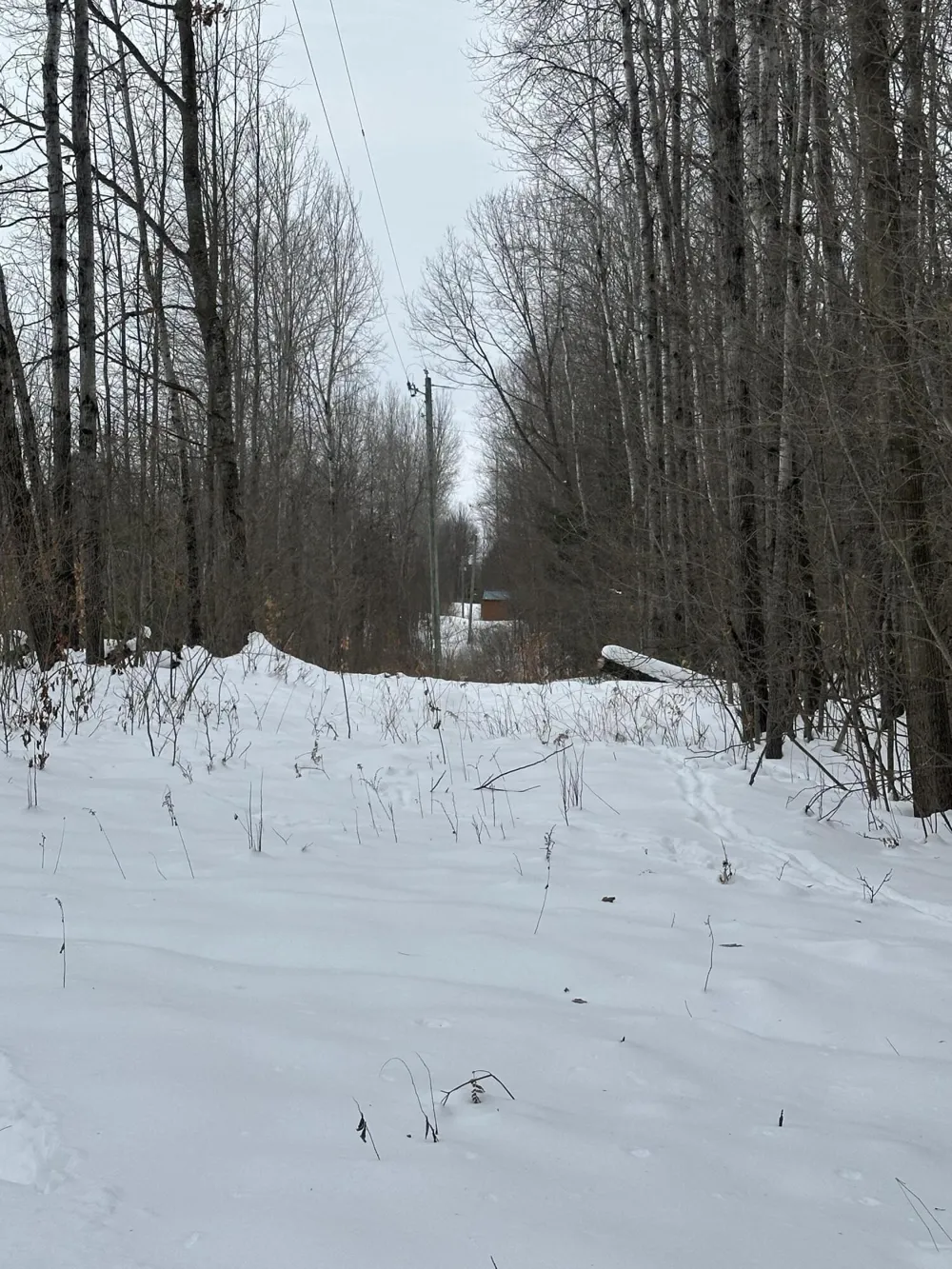 Lakola Road Leroy, MI 49655