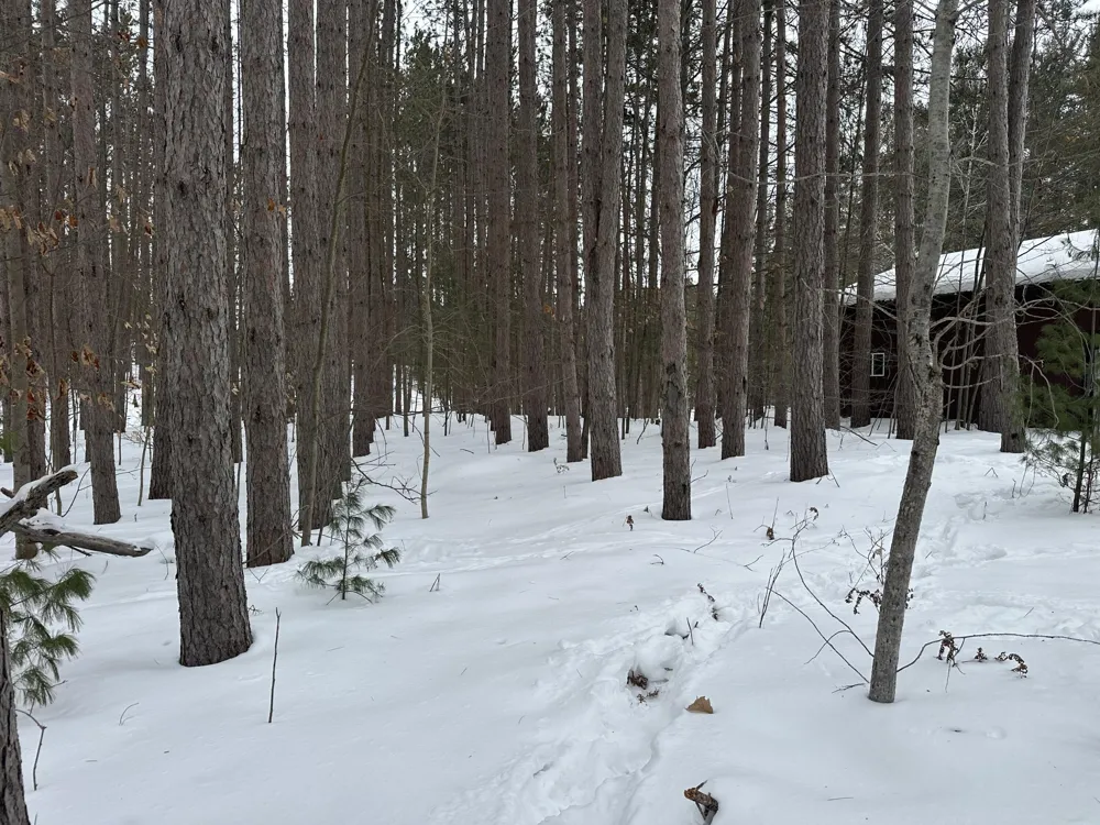Lakola Road Leroy, MI 49655
