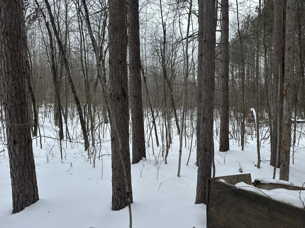 Lakola Road Leroy, MI 49655