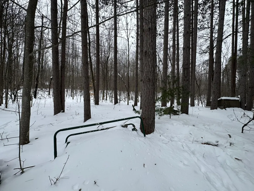 Lakola Road Leroy, MI 49655
