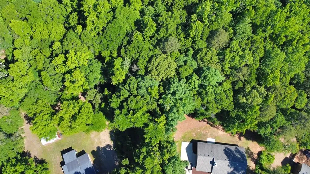 0 First Street Statham, GA 30666