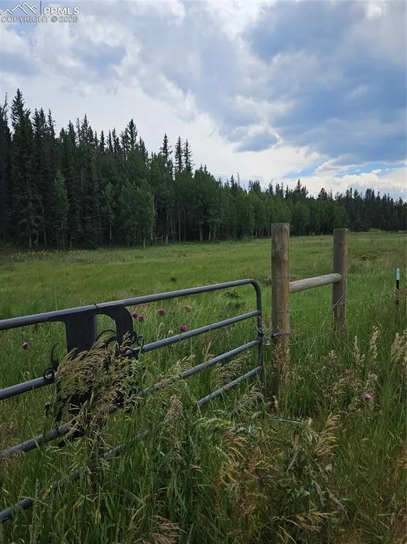 702 Lake Drive Divide, CO 80814