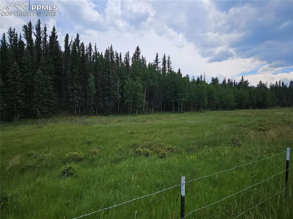 702 Lake Drive Divide, CO 80814