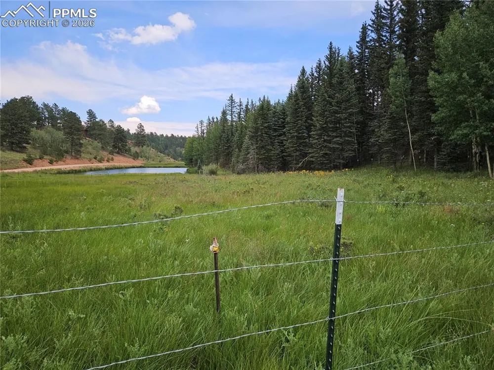 702 Lake Drive Divide, CO 80814