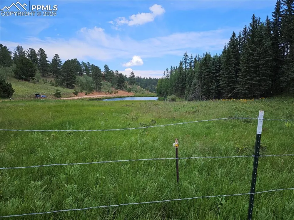 702 Lake Drive Divide, CO 80814
