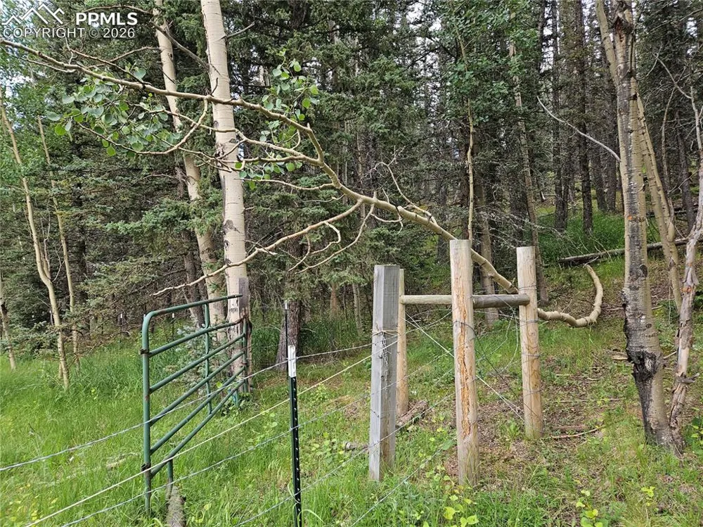 702 Lake Drive Divide, CO 80814