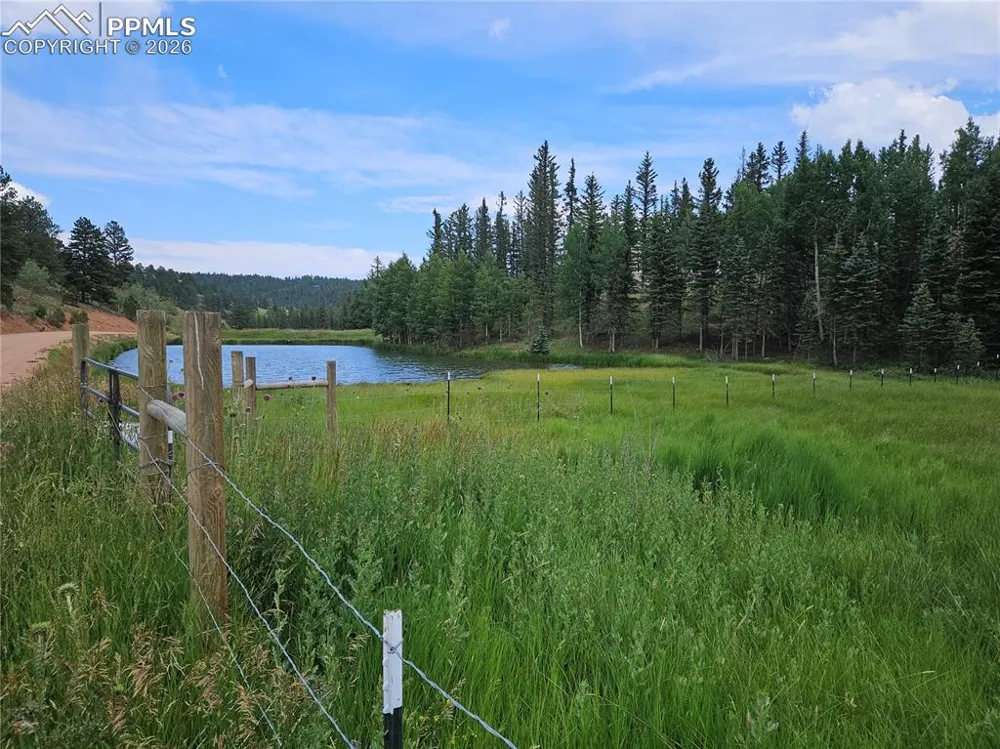 702 Lake Drive Divide, CO 80814