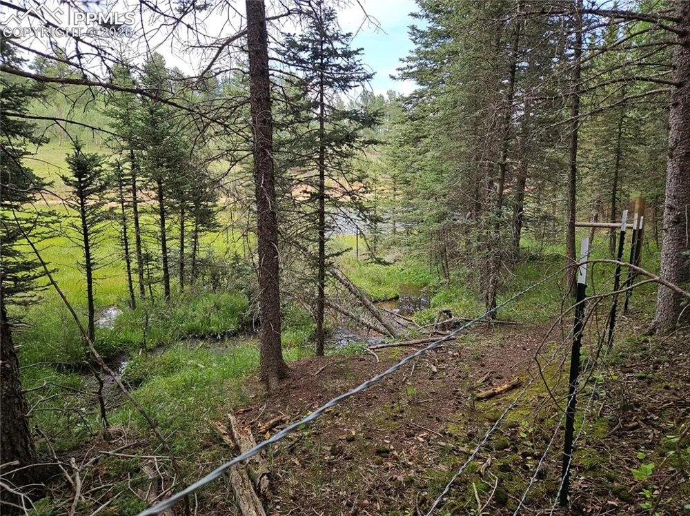 702 Lake Drive Divide, CO 80814