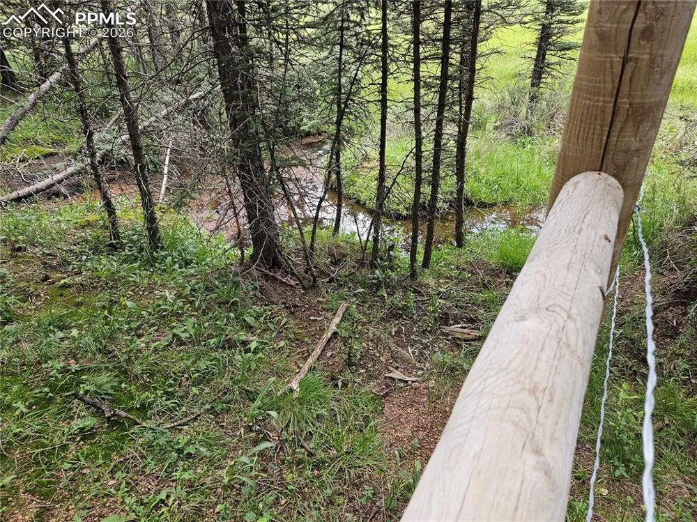 702 Lake Drive Divide, CO 80814