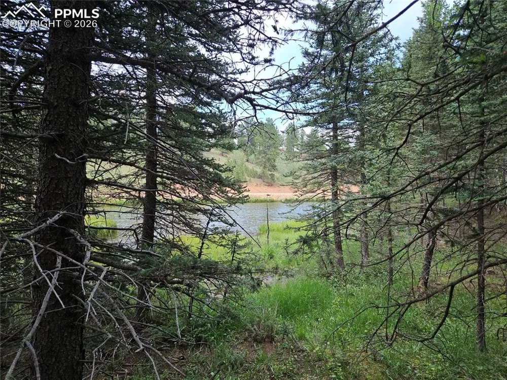 702 Lake Drive Divide, CO 80814