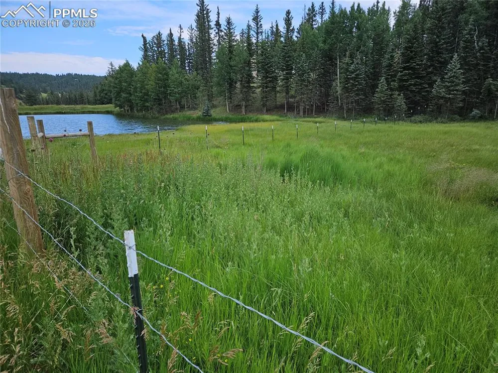 702 Lake Drive Divide, CO 80814