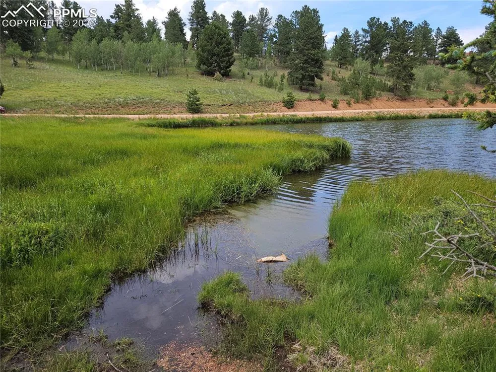 702 Lake Drive Divide, CO 80814