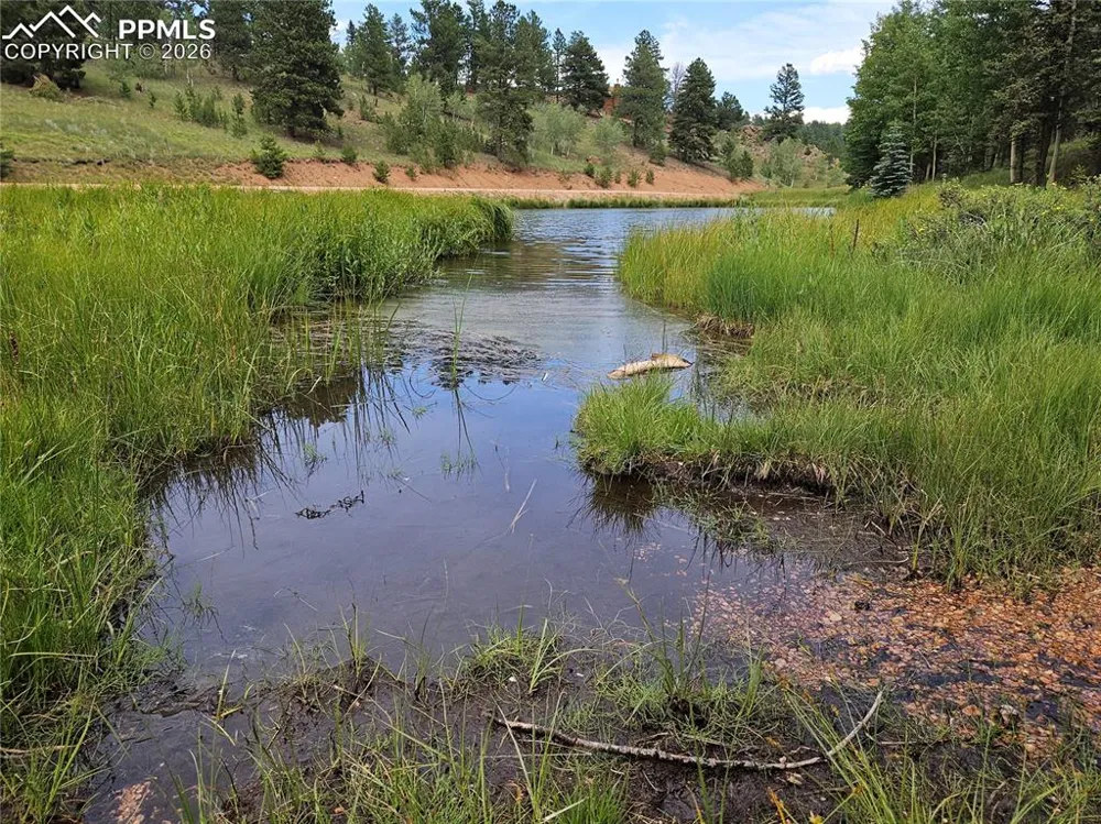 702 Lake Drive Divide, CO 80814