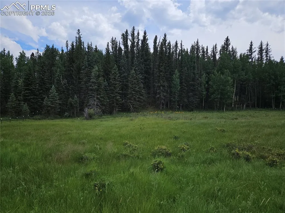 702 Lake Drive Divide, CO 80814