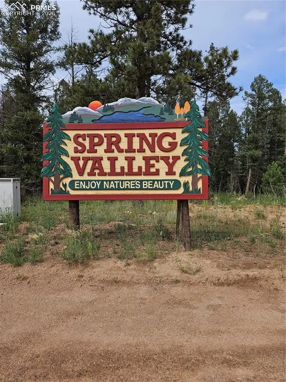 702 Lake Drive Divide, CO 80814