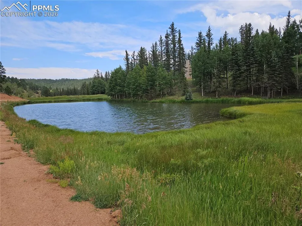 702 Lake Drive Divide, CO 80814