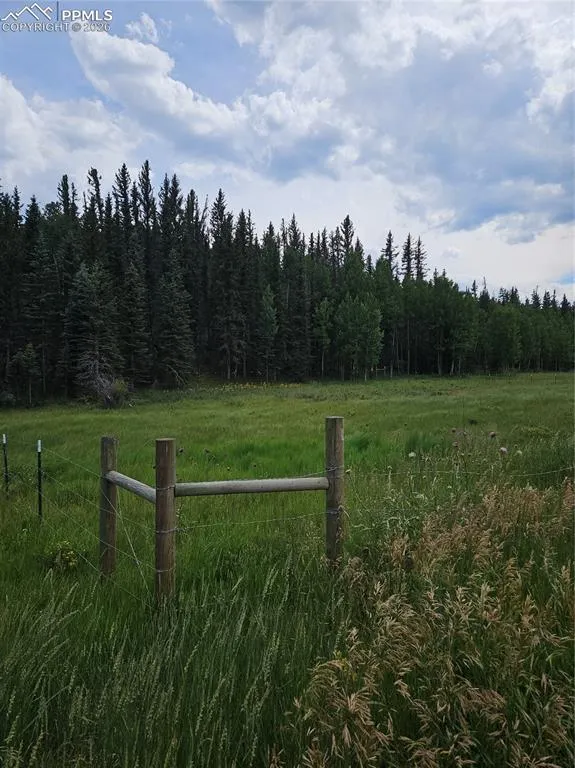 702 Lake Drive Divide, CO 80814