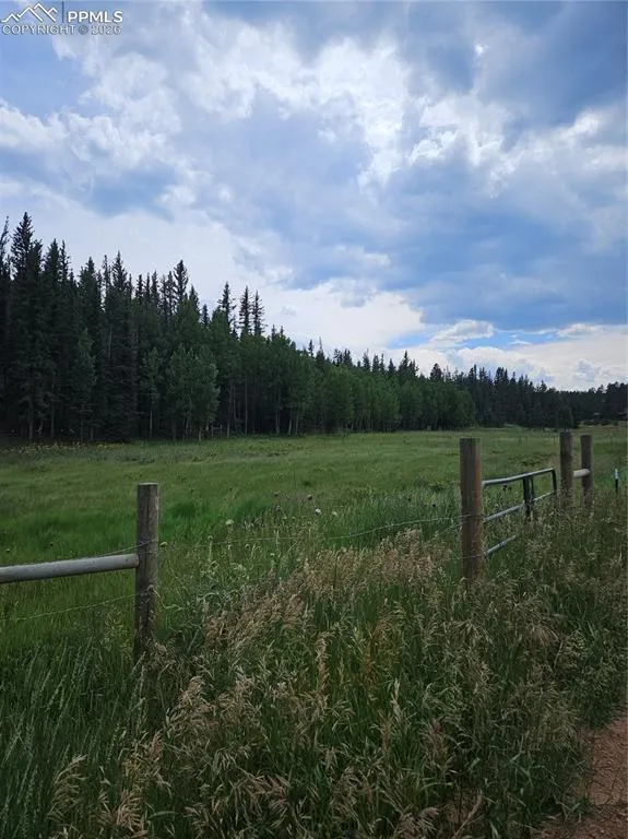 702 Lake Drive Divide, CO 80814