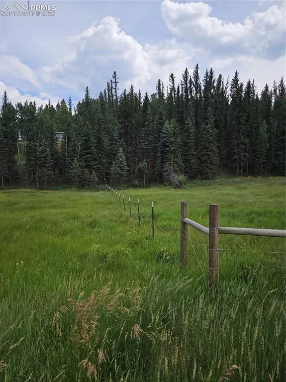 702 Lake Drive Divide, CO 80814