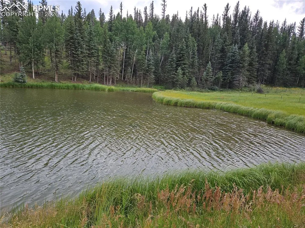 702 Lake Drive Divide, CO 80814