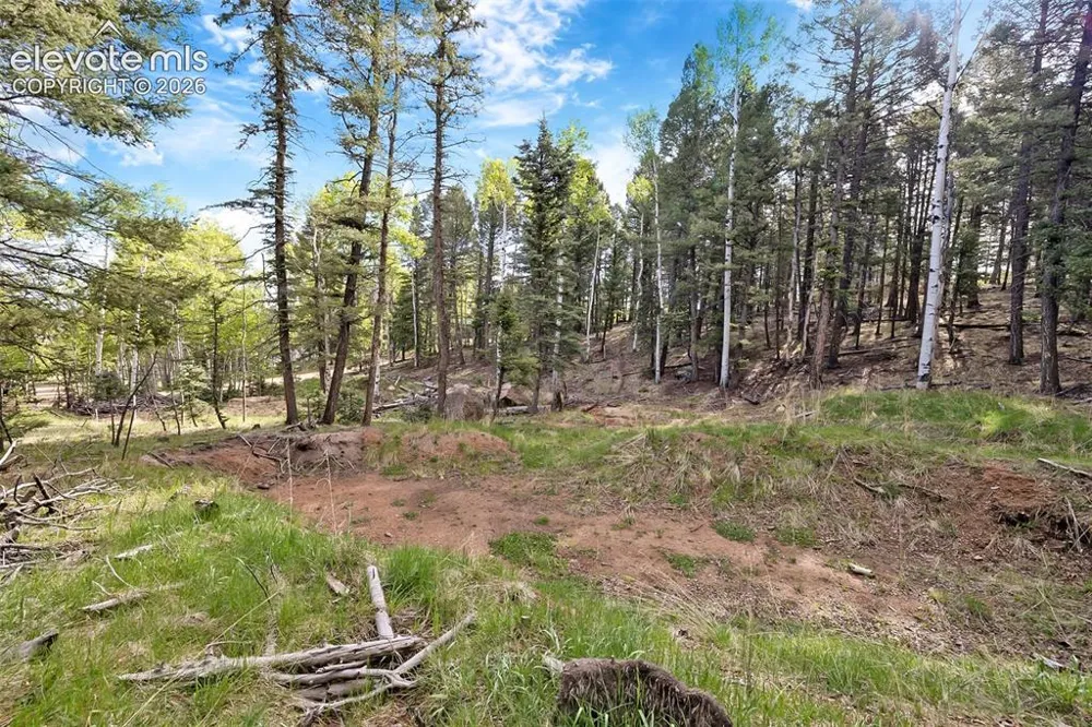 714 Will Stutley Drive Divide, CO 80814