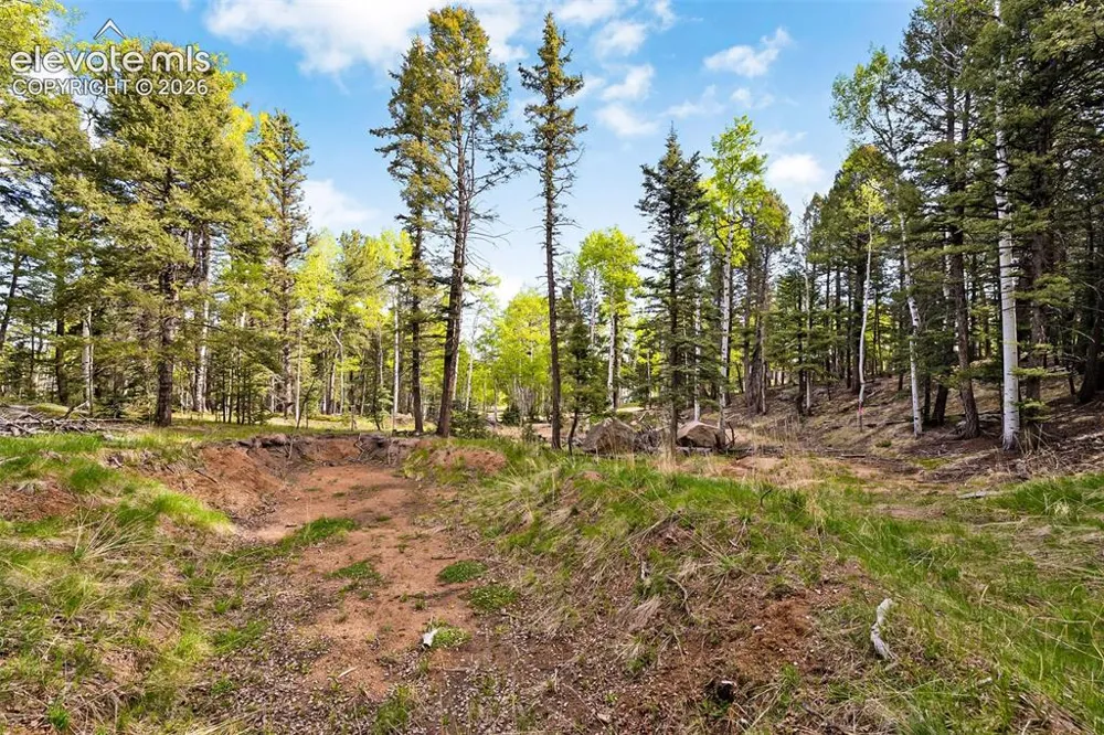 714 Will Stutley Drive Divide, CO 80814