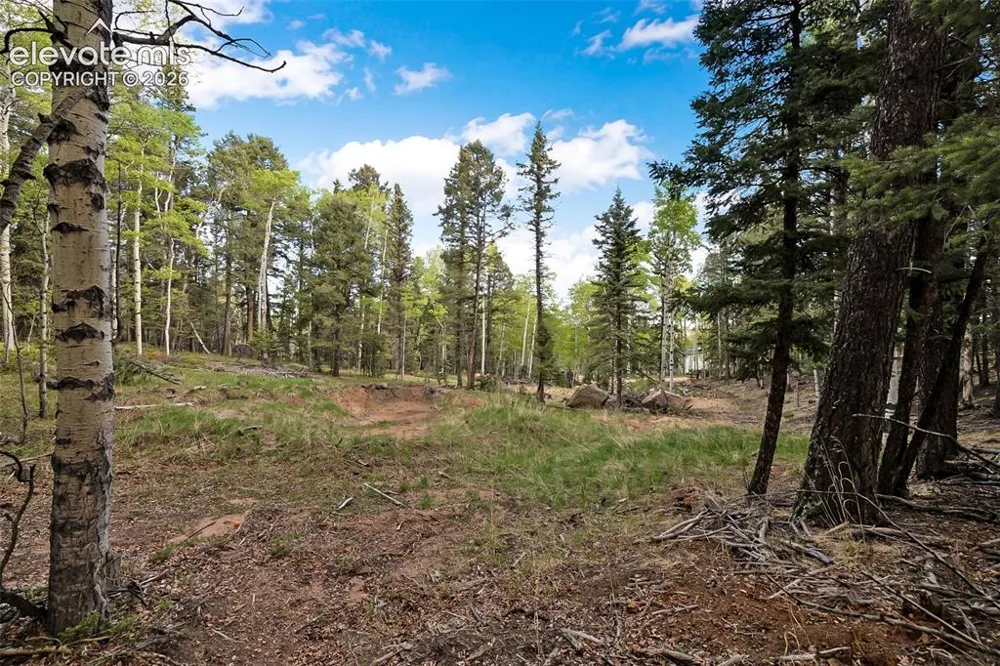 714 Will Stutley Drive Divide, CO 80814