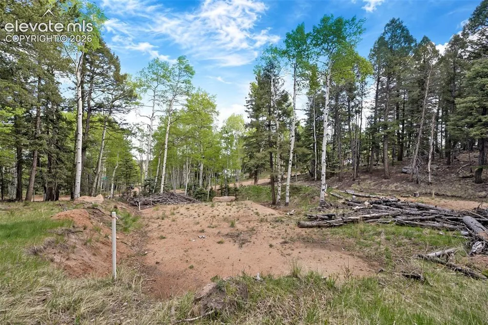 714 Will Stutley Drive Divide, CO 80814