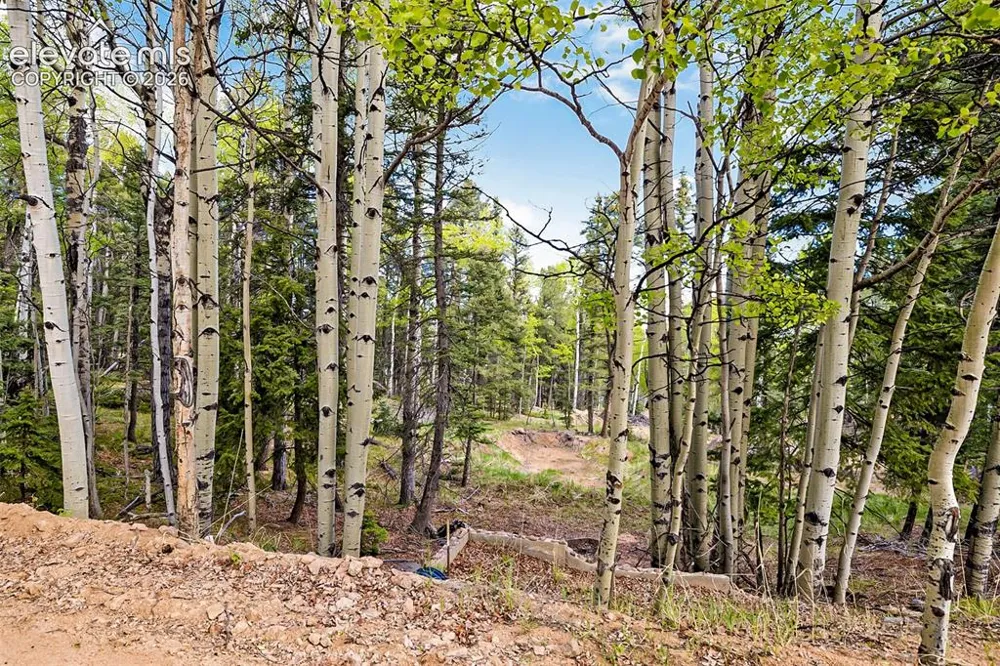 714 Will Stutley Drive Divide, CO 80814