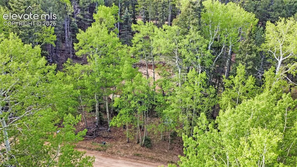 714 Will Stutley Drive Divide, CO 80814