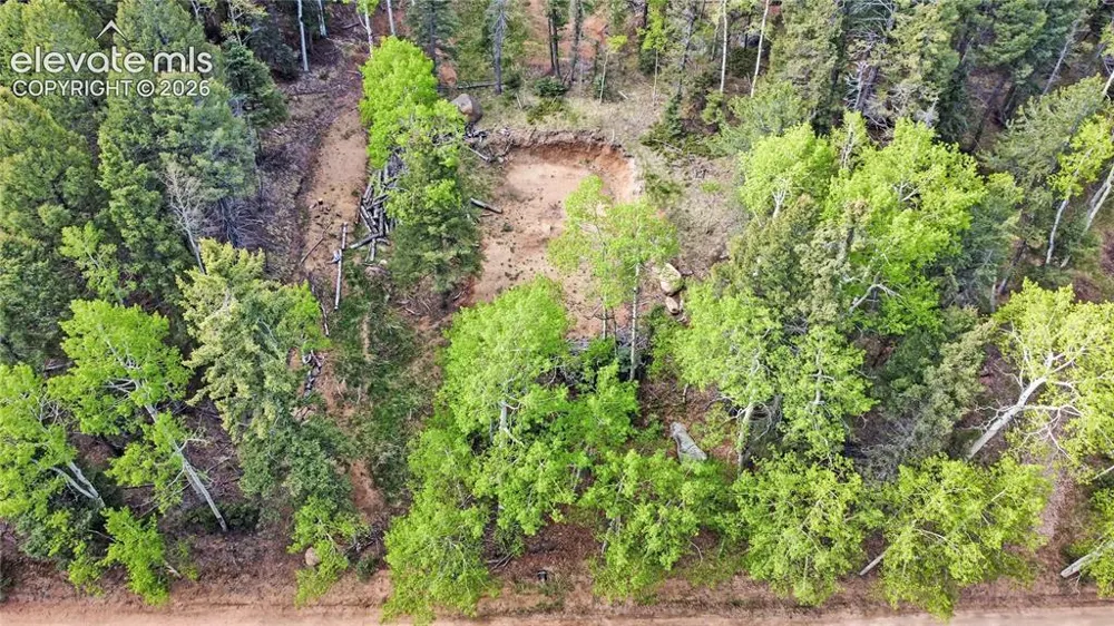 714 Will Stutley Drive Divide, CO 80814