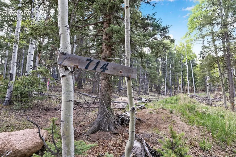 714 Will Stutley Drive Divide, CO 80814